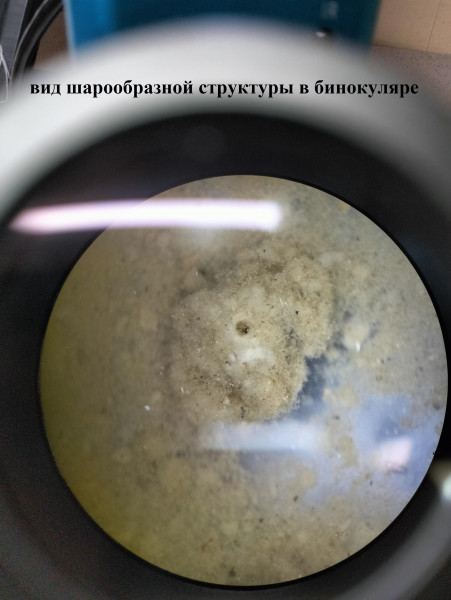 вид в бинокуляр